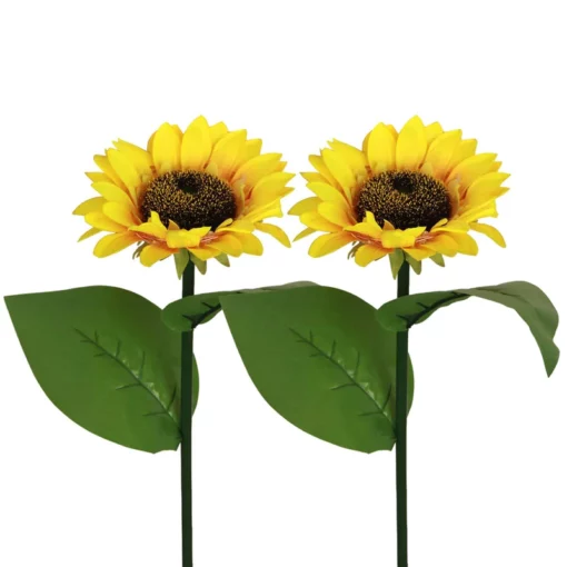 Cahya Sunflower