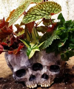 Shape Resin Skull Flower Pot