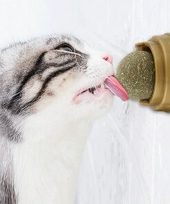 Catnip Ball Cat Toys