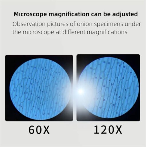 Portable Optical Microscope