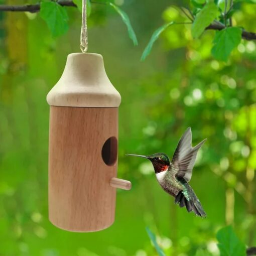 Teach Hummingbird Adhmaid