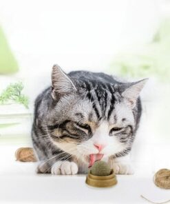 Catnip Ball Cat Toys