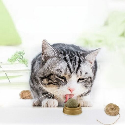 Catnip Topu Kedi Oyuncakları