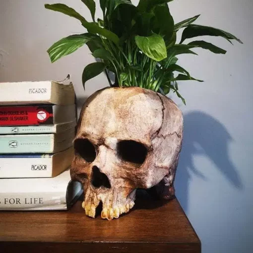Puab Resin Skull Flower Pot