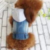 Small Dog Denim Jacket
