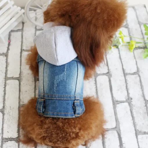 Jaqueta jeans para cachorro pequeno