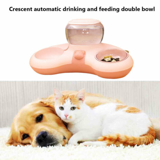 Ciotola di alimentazione automatica per animali domestici