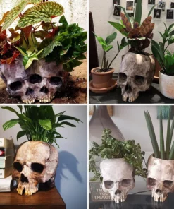 Shape Resin Skull Flower Pot