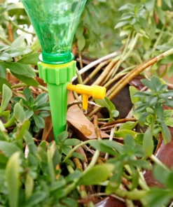 Watering System For Potted Plants