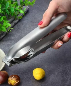 Stainless Steel Chestnut Opener Tool