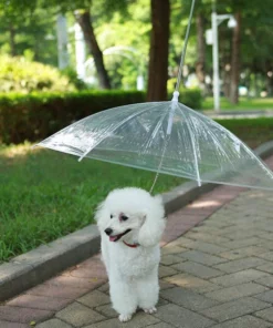 Rainproof Umbrella Dog Leash For Small Dogs
