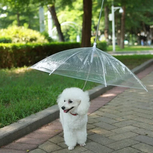 Rainproof Umbrella Dog Leash ສໍາລັບຫມາຂະຫນາດນ້ອຍ