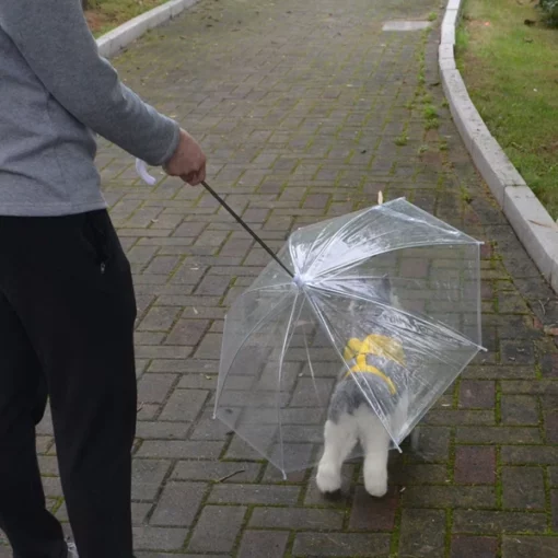 작은 개를 위한 방수 우산 개 가죽끈