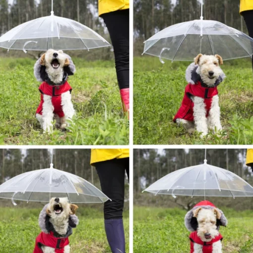 Correa impermeable para perros con paraguas para perros pequeños