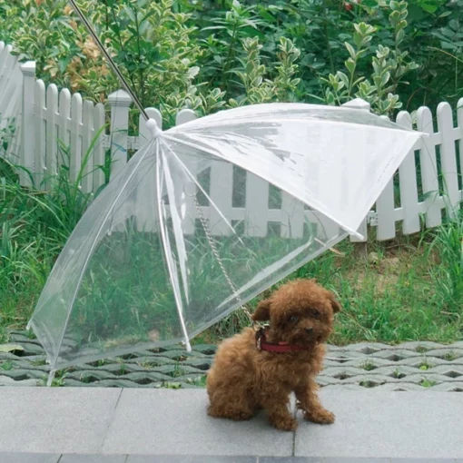 작은 개를 위한 방수 우산 개 가죽끈