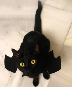 Black Cat Bat Wings
