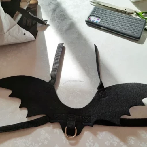 黑猫蝙蝠翅膀