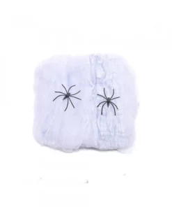 Spooky Halloween Spider Web Décor