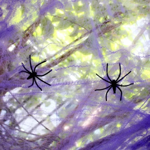 Spookachtig Halloween-spinnenwebdecor
