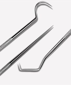 Stainless Steel Toothpick Set