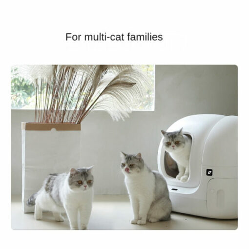 Caixa automática de camadas para gatos