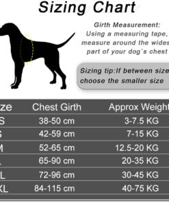 Personalized No Pull Dog Harness