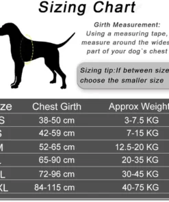 Personalized No Pull Dog Harness