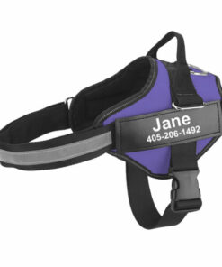 Personalized No Pull Dog Harness