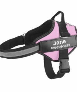Personalized No Pull Dog Harness