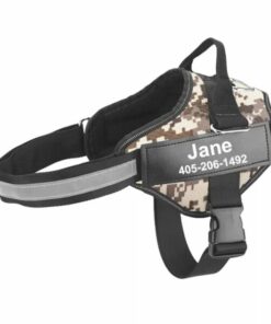 Personalized No Pull Dog Harness