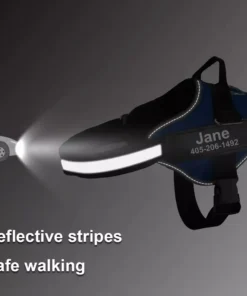 Personalized No Pull Dog Harness