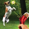 Dog Snack Catapult