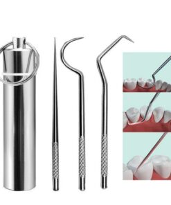 Stainless Steel Toothpick Set