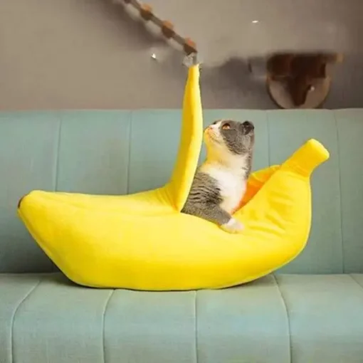 Mála Banana Codlata Cat Te Geimhridh