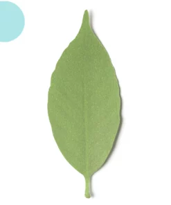 Color Changing Leaf Thermometer