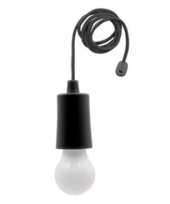 Portable Light Bulb