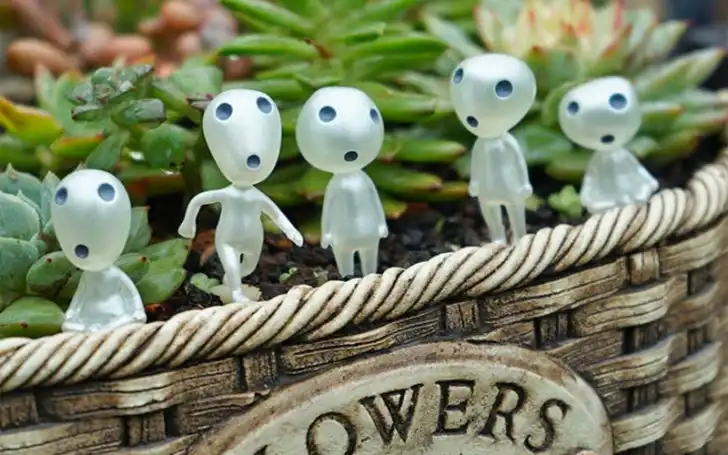 Gifts For Environmentalists