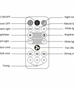 Remote Control Ceiling Fan Lamp