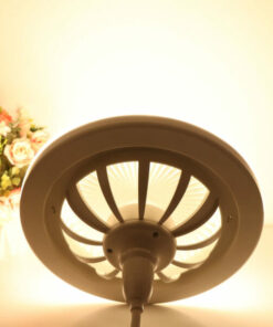 Remote Control Ceiling Fan Lamp