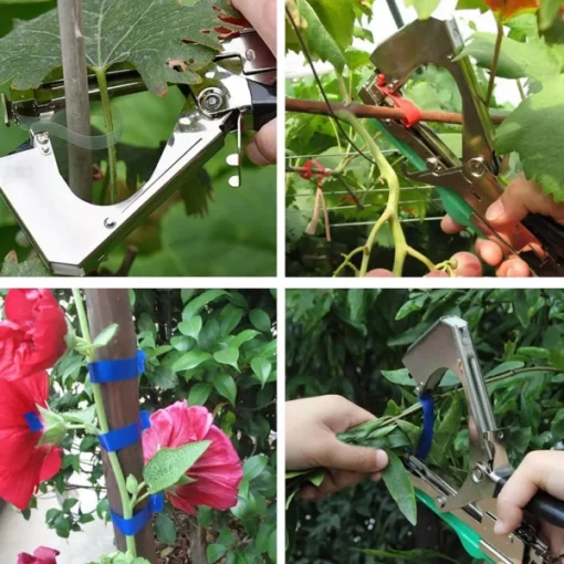 Công cụ băng để kết dính dây leo thực vật