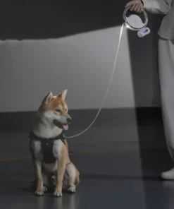 Automatic Lighting Retractable Dog Leash