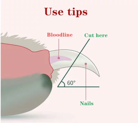 Pet Nail Trimmer