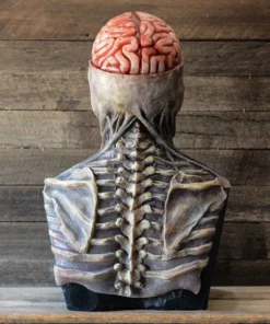 Skeleton Mask For Halloween