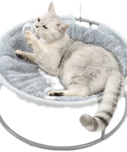 Pet Playing Lounger Bed
