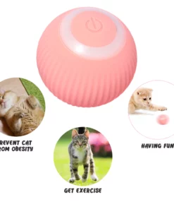 Rolling Ball Cat Toy