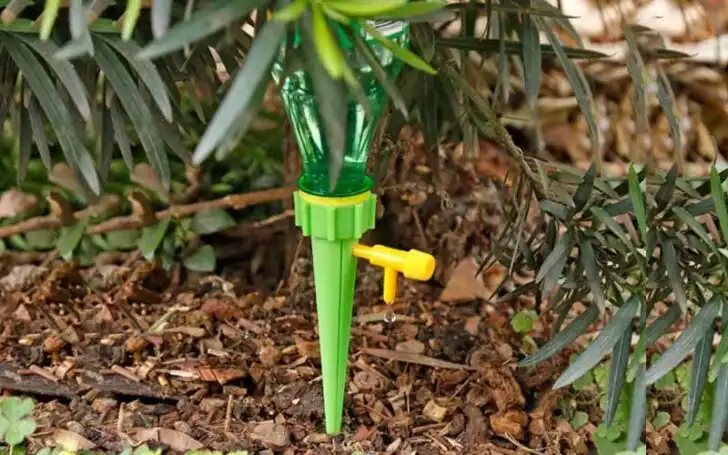 Gifts For Environmentalists