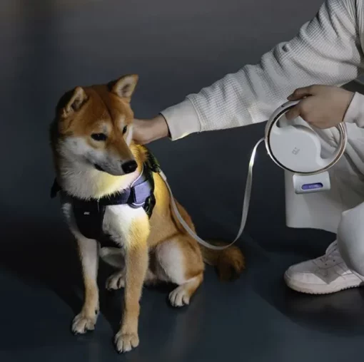 Einziehbare Hundeleine mit automatischer Beleuchtung