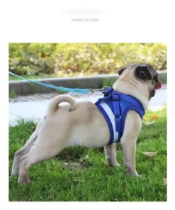 Vest Style Reflective Dog Rope