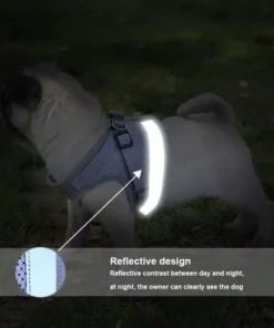 Vest Style Reflective Dog Rope