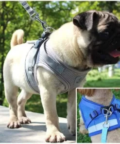 Vest Style Reflective Dog Rope